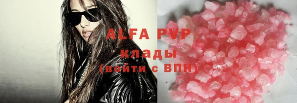 индика Бронницы