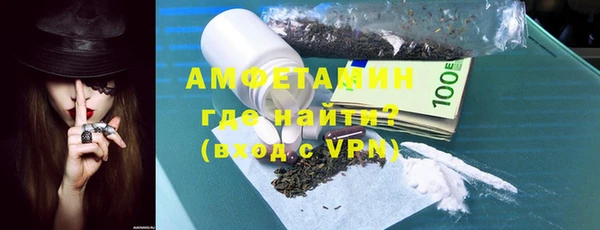 индика Бронницы
