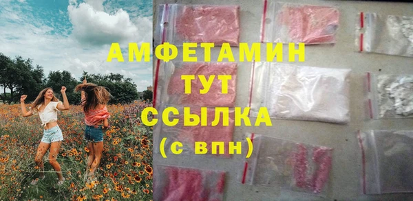 индика Бронницы