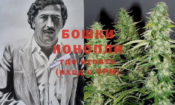 первитин Богданович