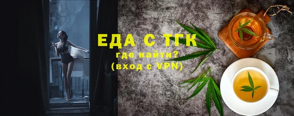 индика Бронницы