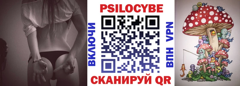 Галлюциногенные грибы Psilocybe  наркотики  Вяземский 